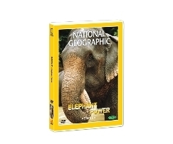 [내셔널지오그래픽] 코끼리의 힘 (Elephant Power DVD)