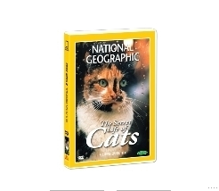 [내셔널지오그래픽] 고양이의 비밀 (The secret life of cats DVD)