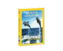 [내셔널지오그래픽] 야생 돌고래 (Dolphins : The wild side DVD) 