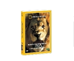 [내셔널지오그래픽] 세계에서 가장 치명적인 동물들 : 아프리카 (World’s Deadliest Animals Africa DVD) 